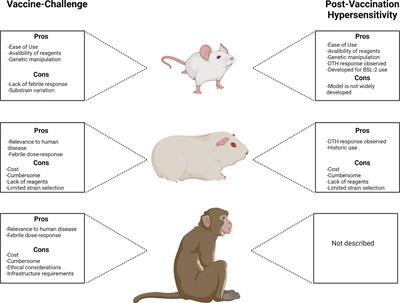 Preclinical Animal Models for Q Fever Vaccine Development